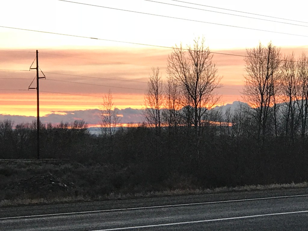 Solo Mama: Pathways to Our&nbsp;Careers